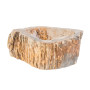 VASQUE EN BOIS FOSSILISÉ 30-35x15CM